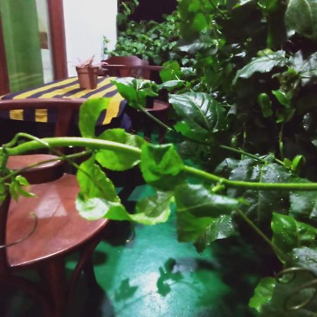 Elegant Home Stay Ella Esterno foto