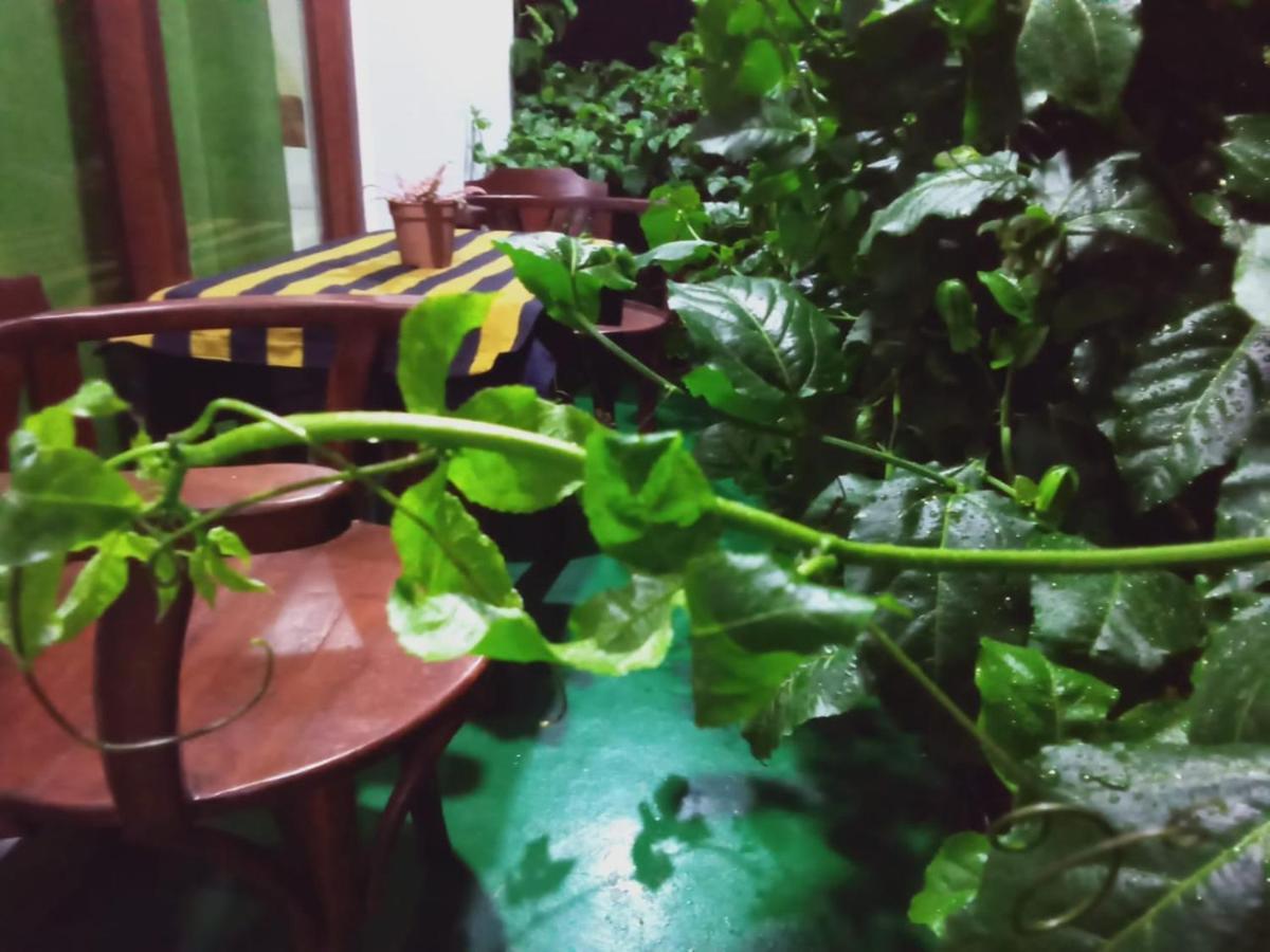 Elegant Home Stay Ella Esterno foto
