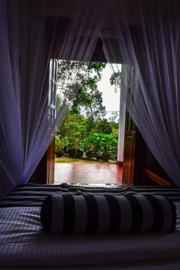Elegant Home Stay Ella Esterno foto
